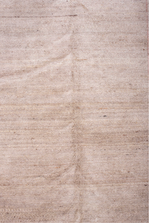 Vintage Contemporary Area Rug (9' x 12')